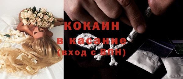 твердый Сосновка