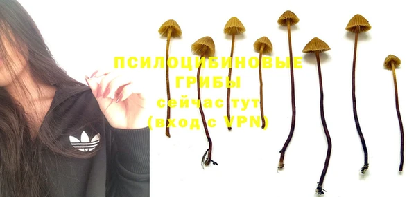 твердый Сосновка