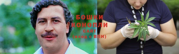 тгк Горняк
