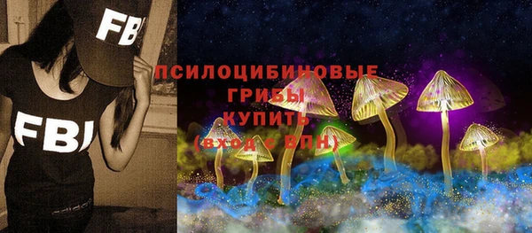 тгк Горняк