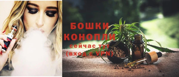 тгк Горняк