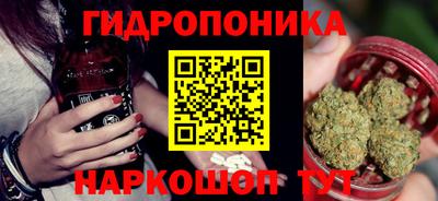 меф Краснознаменск
