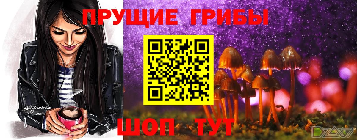 Псилоцибиновые грибы Cubensis Похвистнево